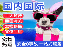 龙洞堡航空货运国际宠物托运 【国